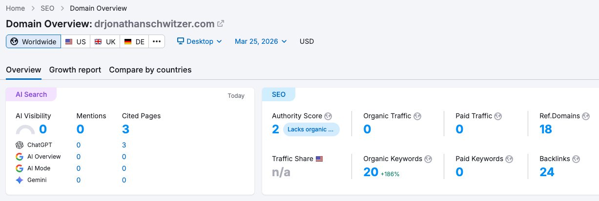 SEMrush domain overview